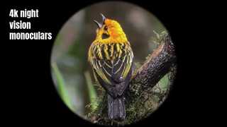 4K yüksek kaliteli gece görüş monoküler