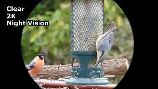 Clear Video 2K gece görüş gözlüğü yakalayın
