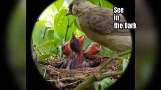 Hondigi Gece Görüş Gözlüğü Gözlemi